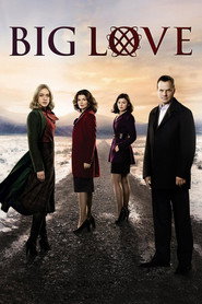Big Love (2006) - Amanda Seyfried TV show poster