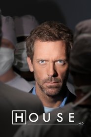 House (2004) - Amanda Seyfried TV show poster