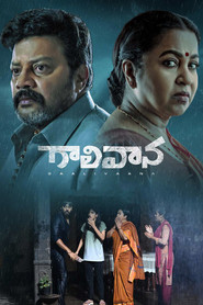 Gaalivaana (2022) - Sharanya Pradeep TV show poster