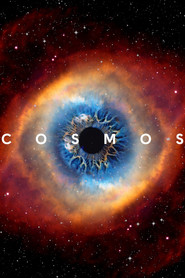 Cosmos (2014) - Amanda Seyfried TV show poster