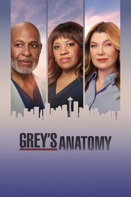 Grey's Anatomy (2005) - Alanna Masterson TV show poster