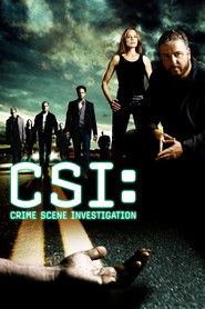 CSI: Crime Scene Investigation (2000) - Amanda Seyfried TV show poster