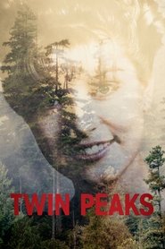 Twin Peaks (1990) - Amanda Seyfried TV show poster