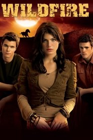 Wildfire (2005) - Amanda Seyfried TV show poster
