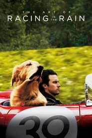 The Art of Racing in the Rain (2019) - Amanda Seyfried movie poster