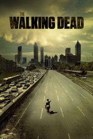 The Walking Dead (2010) - Alanna Masterson TV show poster
