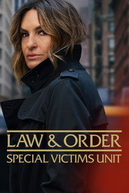 Law & Order: Special Victims Unit (1999) - Amanda Seyfried TV show poster