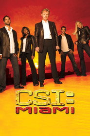 CSI: Miami (2002) - Leslie Bibb TV show poster