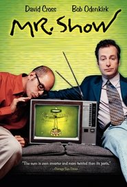 Mr. Show with Bob and David (1995) - Sarah Silverman TV show poster