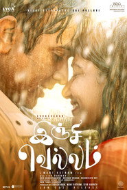Inji Vellam (2027) - Sai Pallavi movie poster