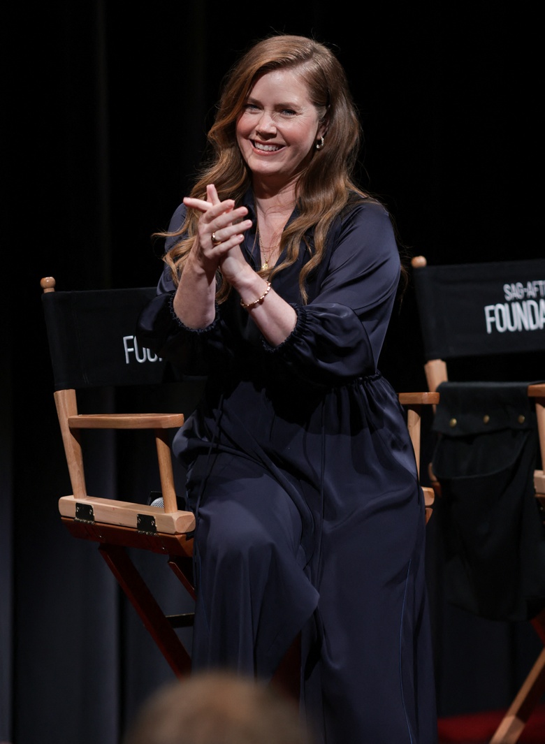 Amy Adams Radiates Elegance at Hollywood's Biggest Film Events
