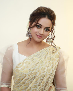 Bahavana Menon's Golden Radiance: A Stunning Photo Gallery