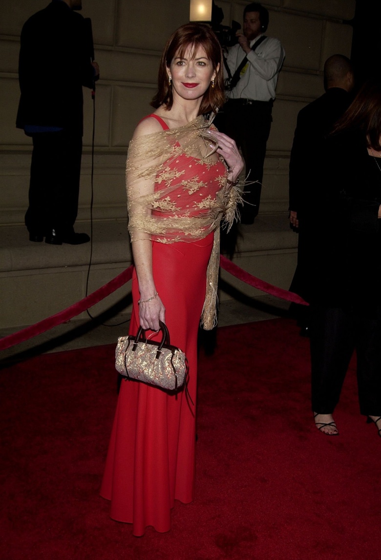 Dana Delany's Stunning Red Carpet Glamour Captures Hearts
