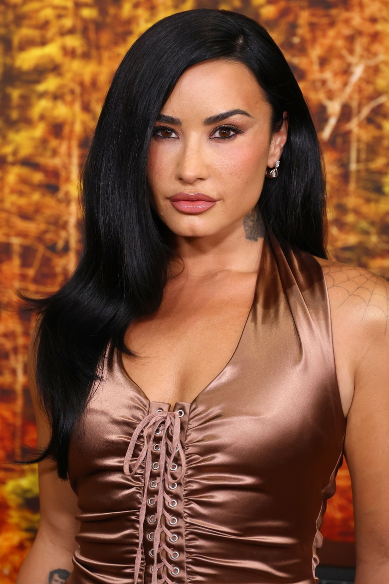 Demi Lovato Brings Major Star Power to Hollywood Red Carpet Moments