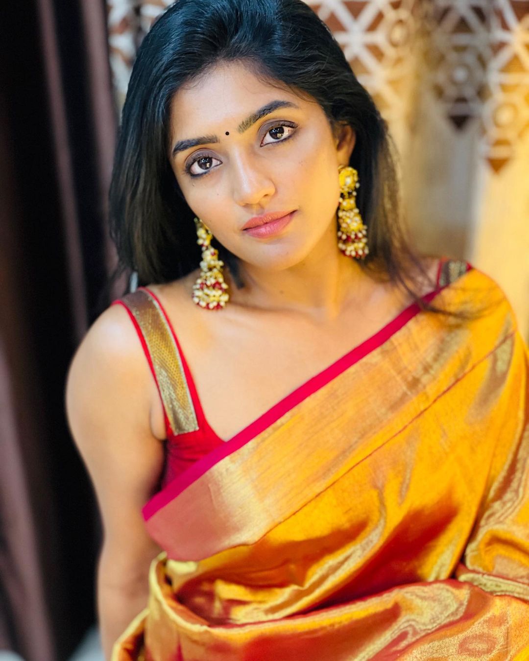 Eesha Rebba Stunning Saree Photos Traditional Indian Fashion