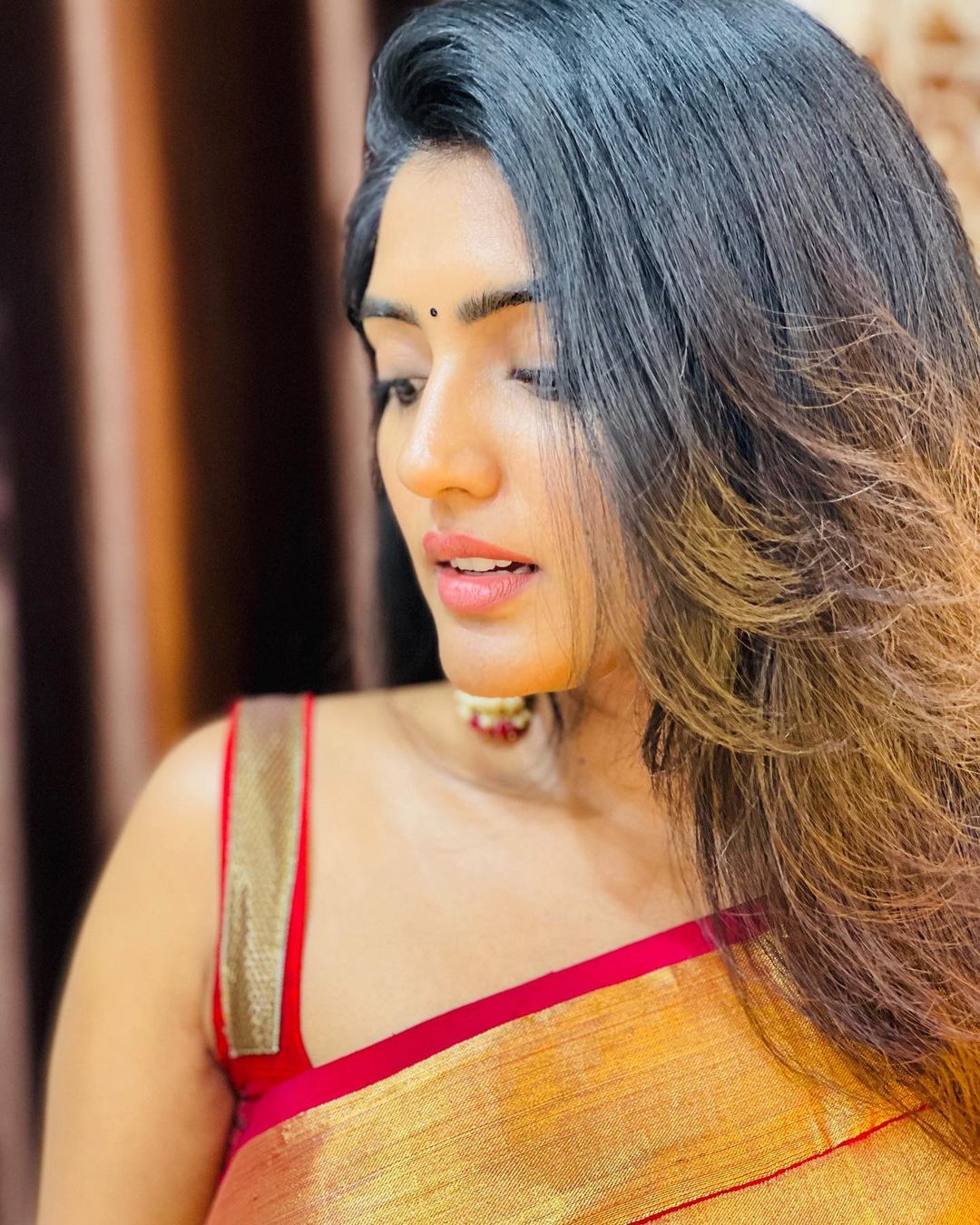 Eesha Rebba Stunning Saree Photos Traditional Indian Fashion
