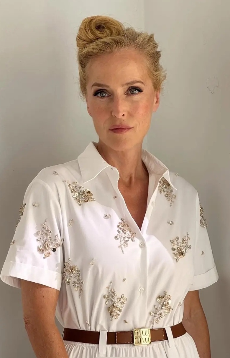 Gillian Anderson is seen attending a prestigious film premiere in Los Angeles, exuding classic elegance. - Photos & Updates