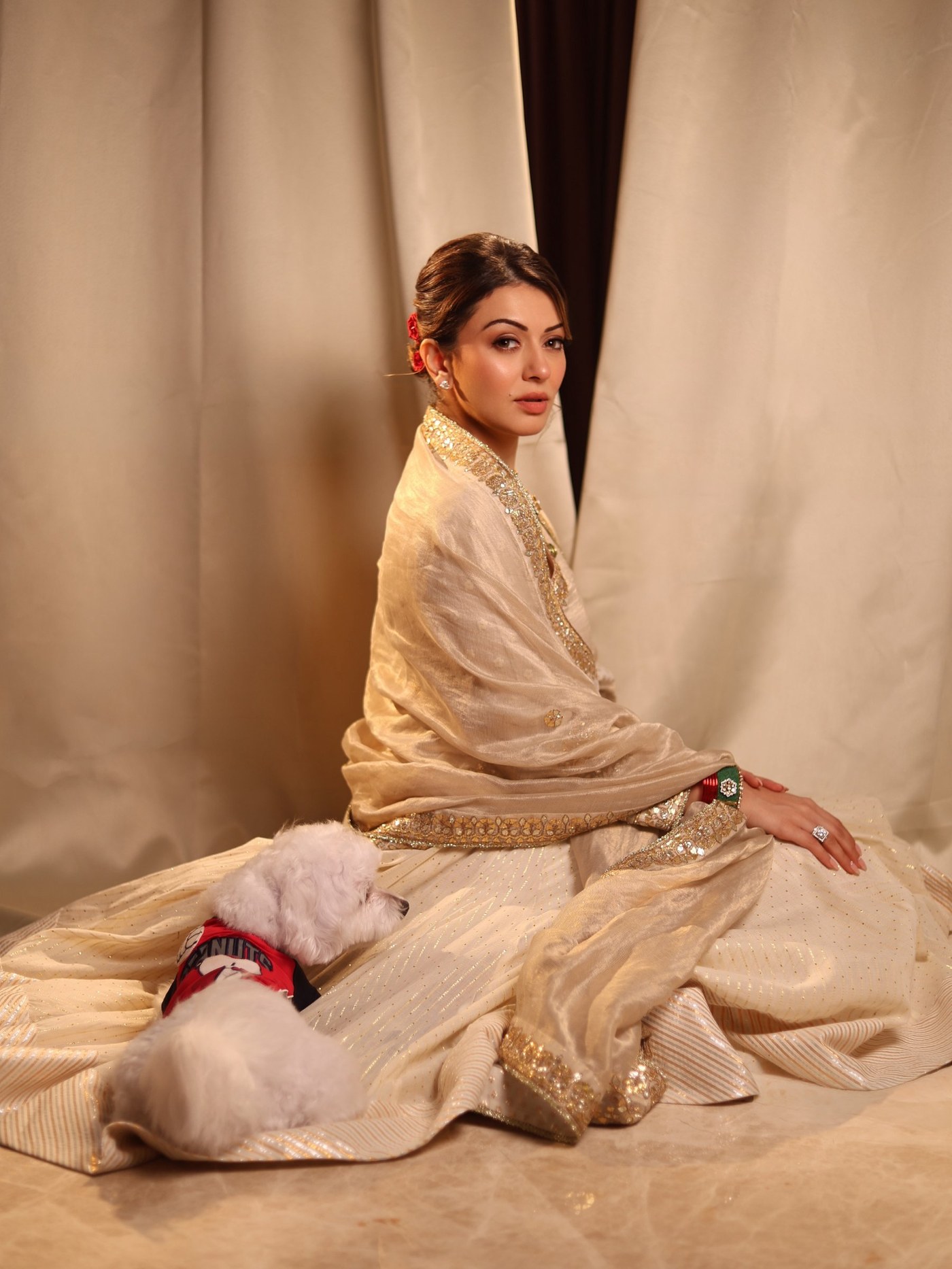 Hansika Motwani is seen in an ornate, structured ethnic ensemble featuring detailed beadwork and rich textiles.