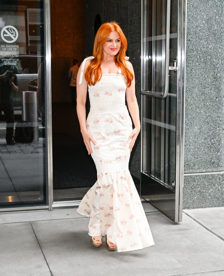 Isla Fisher’s Radiant Look Steals the Spotlight at Hollywood Gala
