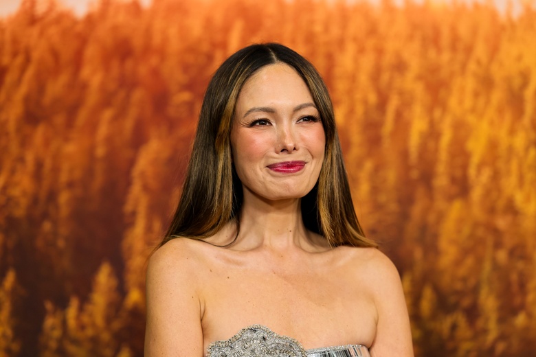 Lindsay Price’s Style Glow Steals the Spotlight at Hollywood Gala