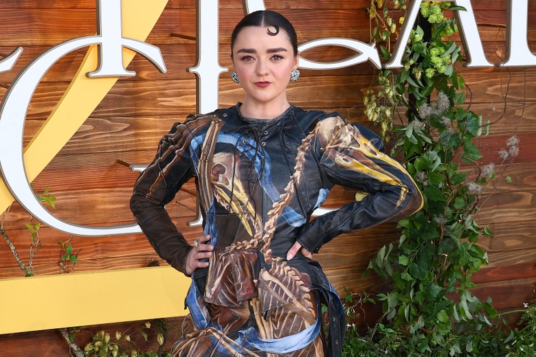 Maisie Williams Continues to Own the Red Carpet and the Spotlight
