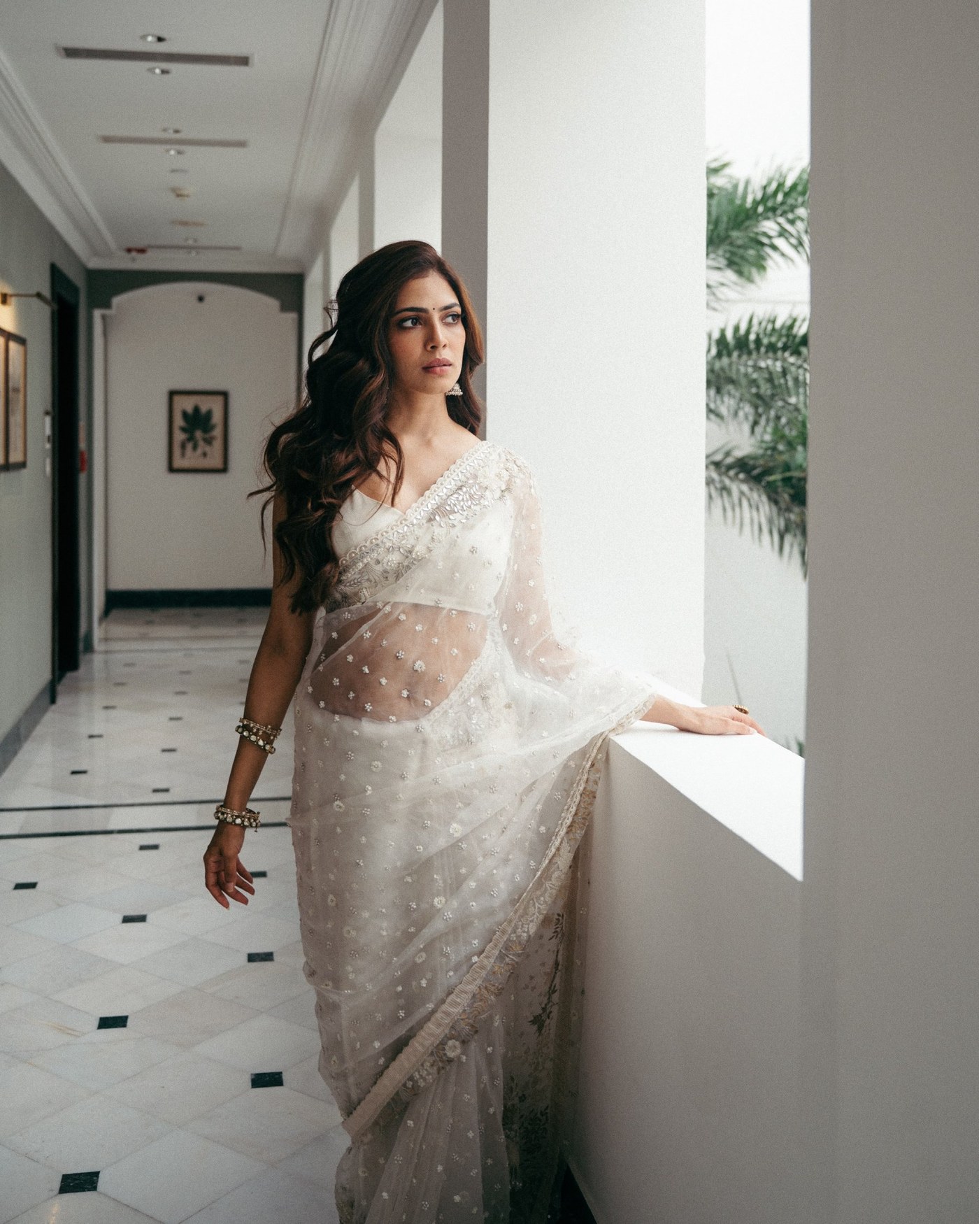 Malavika Mohanan's Effortless Mastery in a Sheer Saree