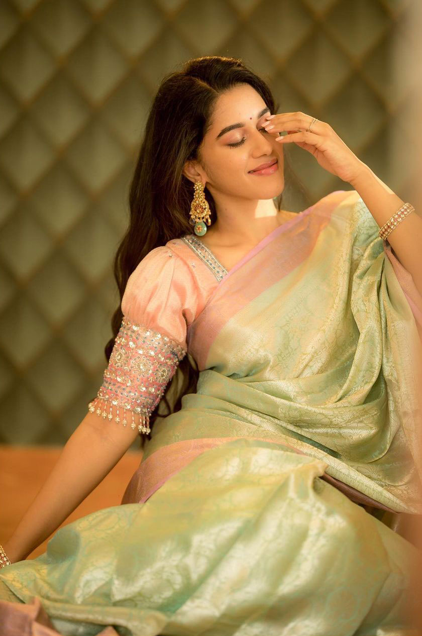 Mirnalini Ravi Stunning Saree Photos HD Traditional Glamour