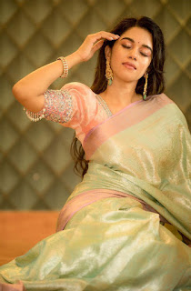 Mirnalini Ravi Stunning Saree Photos HD Traditional Glamour