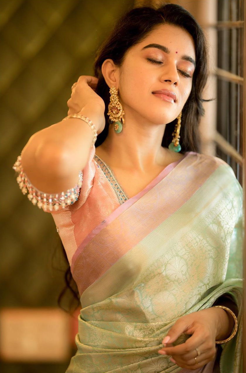 Mirnalini Ravi Stunning Saree Photos HD Traditional Glamour
