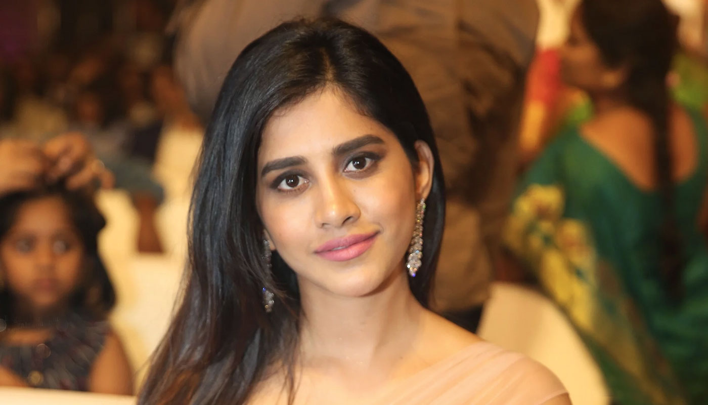 Nabha Natesh in a soft pink sheer outfit with reflective detailing and dark hair.