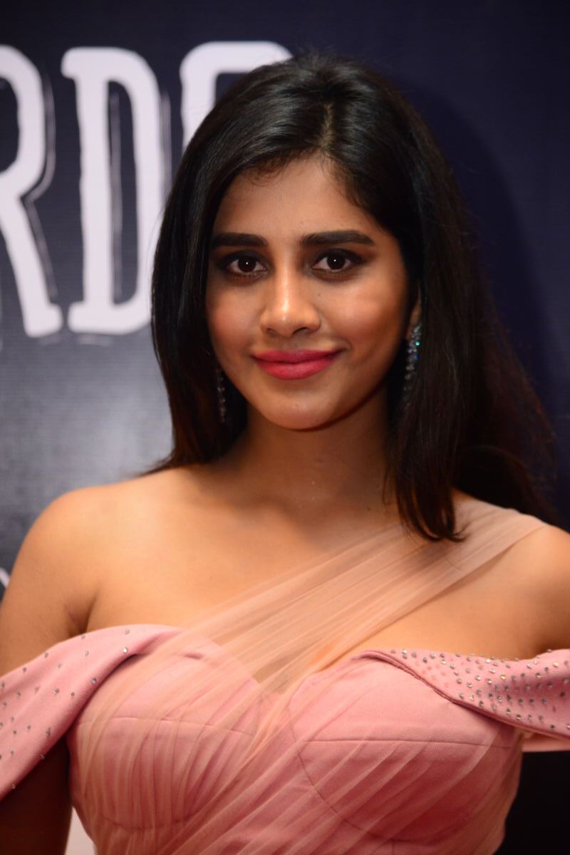 Nabha Natesh's Stunning Pink Ensemble Gallery
