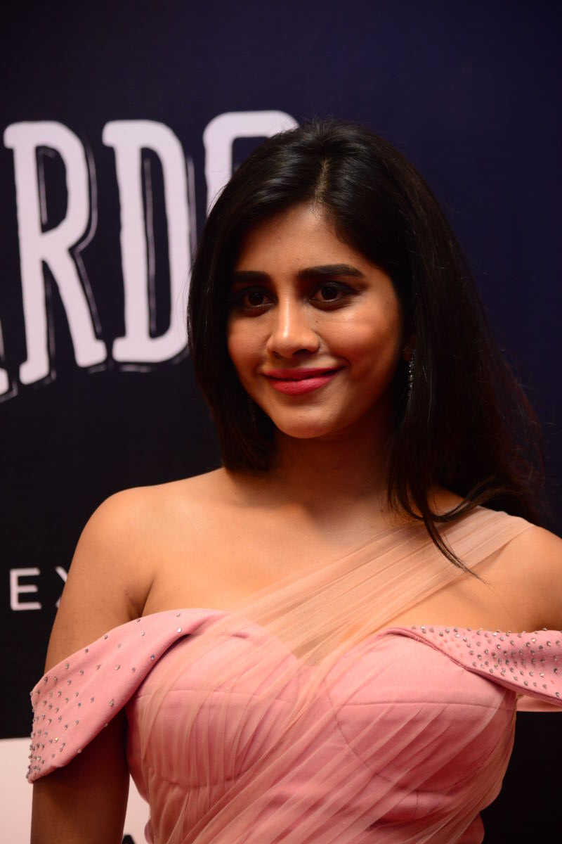 Nabha Natesh's Stunning Pink Ensemble Gallery