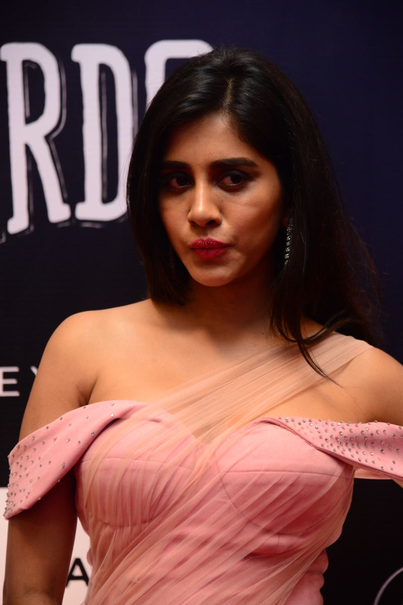 Nabha Natesh's Stunning Pink Ensemble Gallery