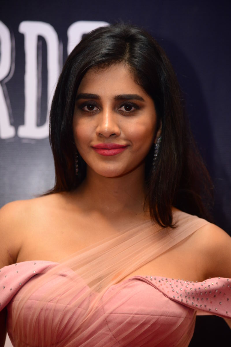 Nabha Natesh's Stunning Pink Ensemble Gallery