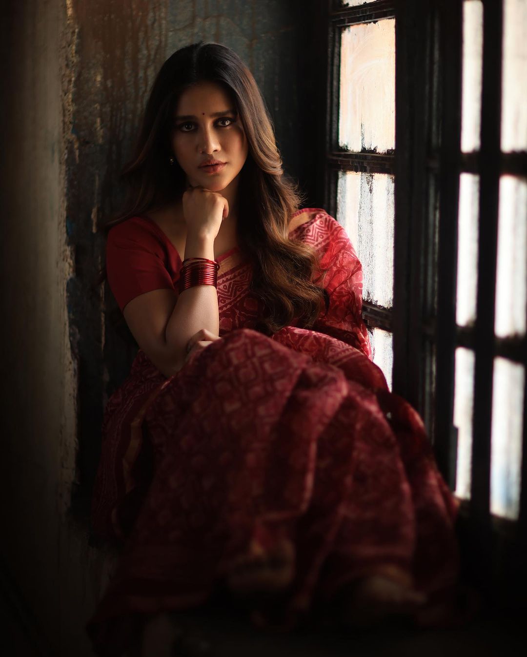 Nabha Natesh Latest Saree Photos Traditional Glamour
