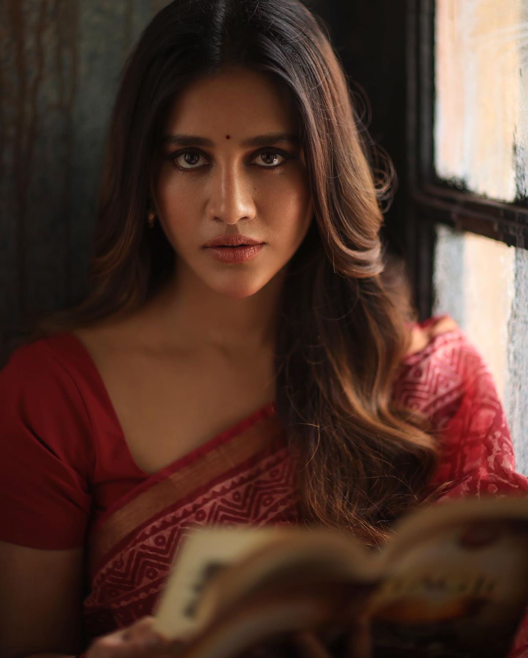Nabha Natesh Latest Saree Photos Traditional Glamour