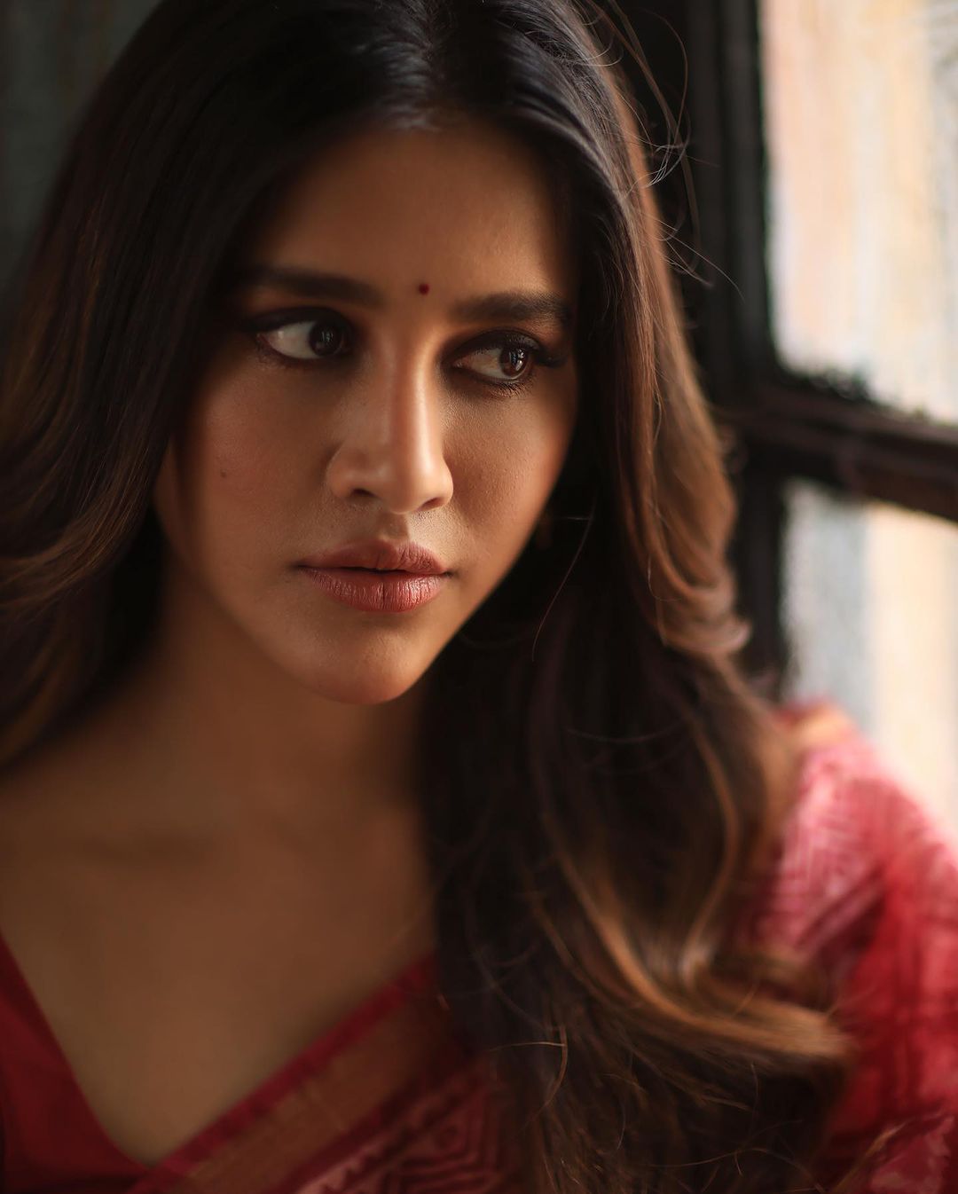 Nabha Natesh Latest Saree Photos Traditional Glamour