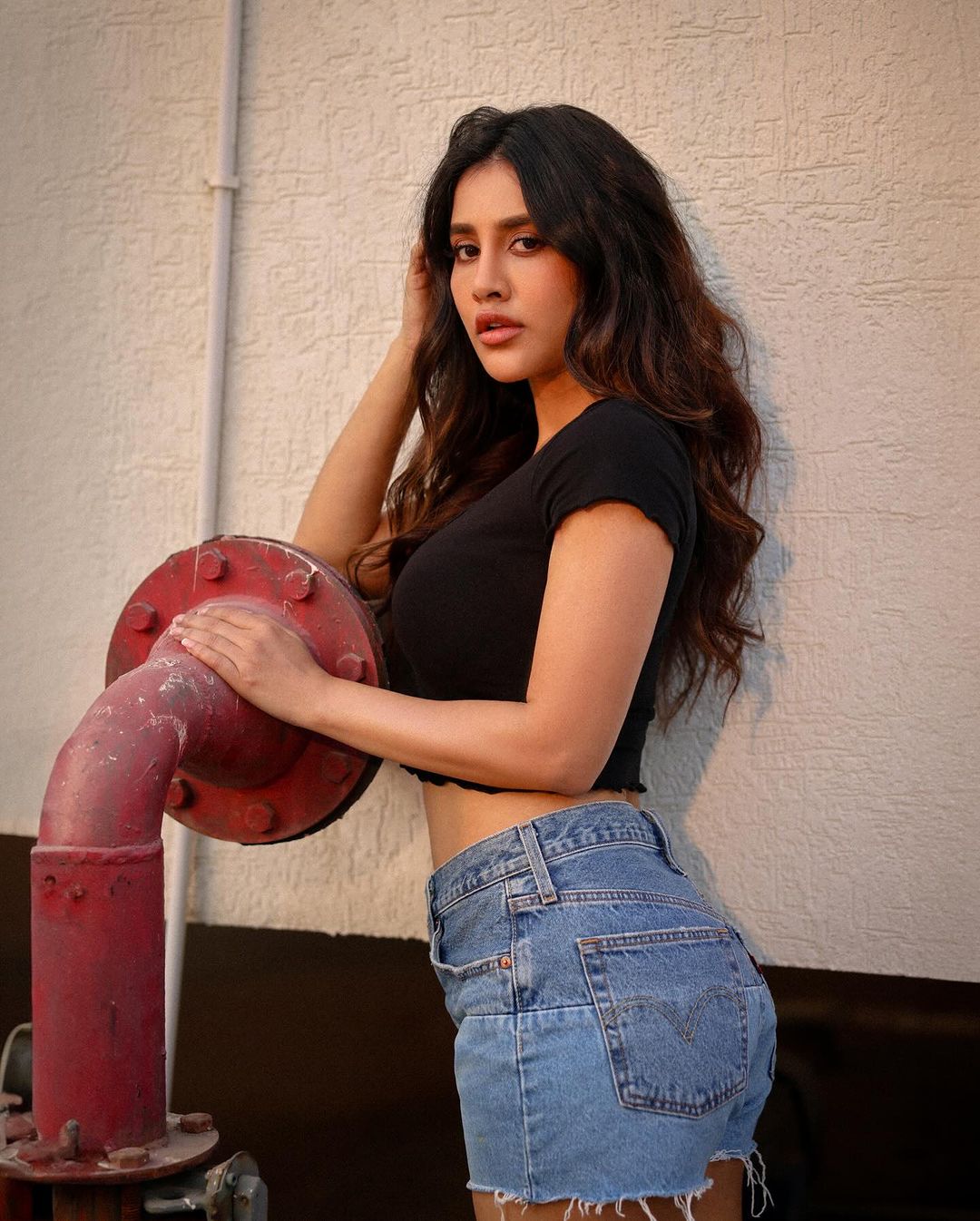 Nabha Natesh Navel Stunning Photoshoot Gallery