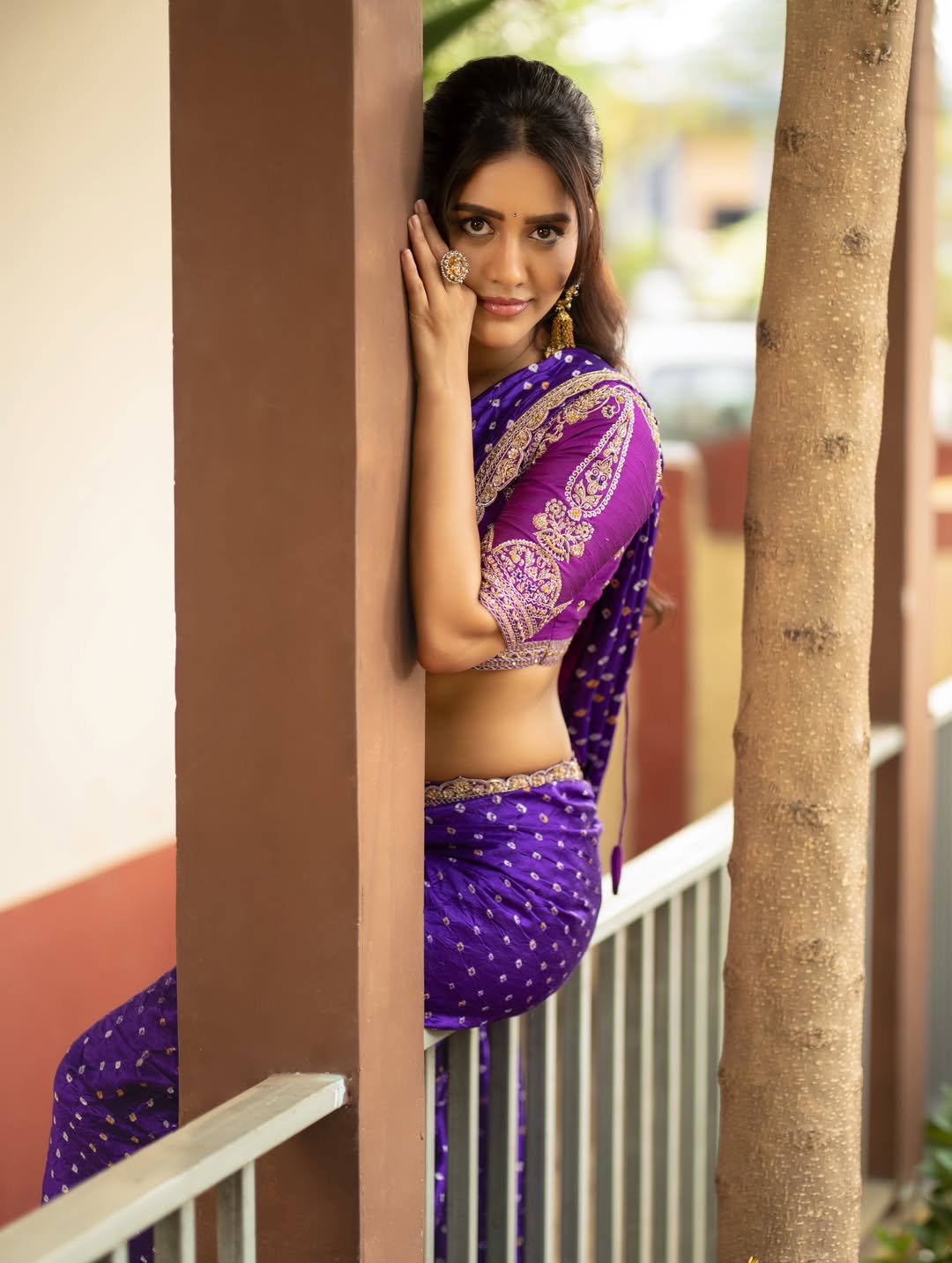 Nabha Natesh Dazzles in Regal Purple Saree Look!
