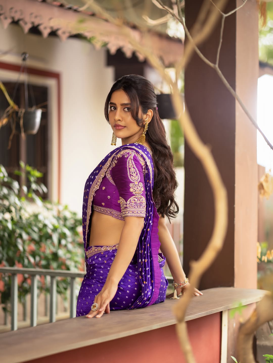 Nabha Natesh Dazzles in Regal Purple Saree Look!