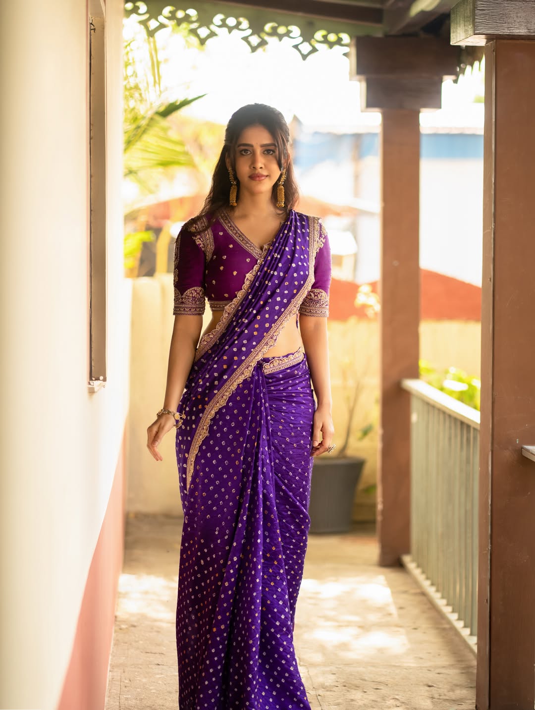 Nabha Natesh Dazzles in Regal Purple Saree Look!