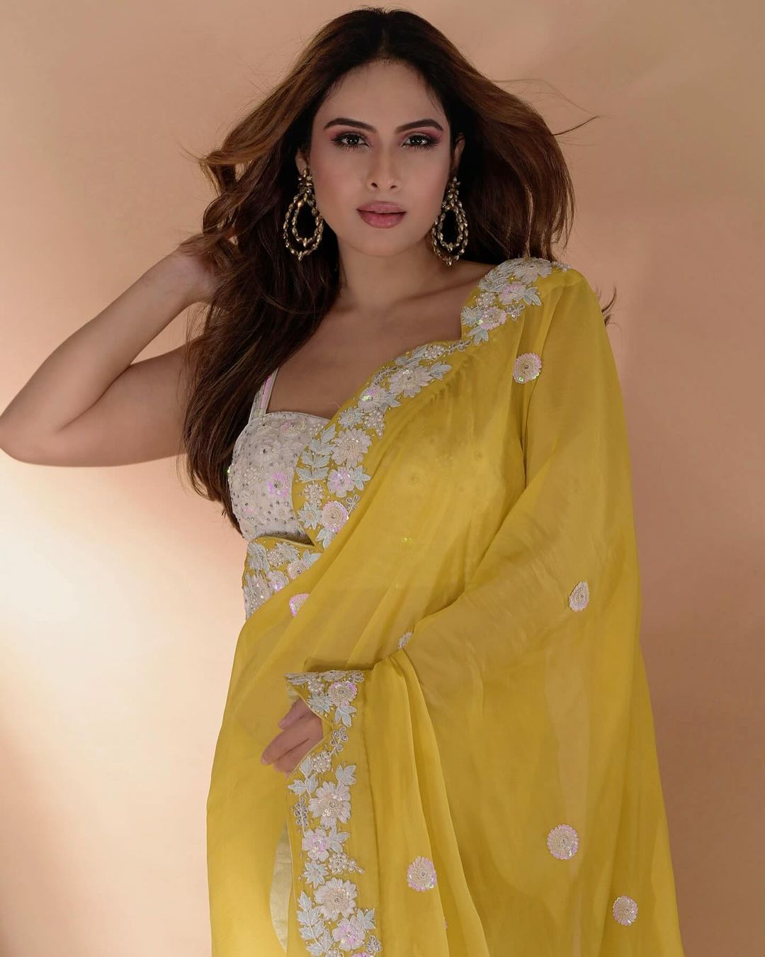 Neha Malik Stunning in Traditional Saree Photoshoot