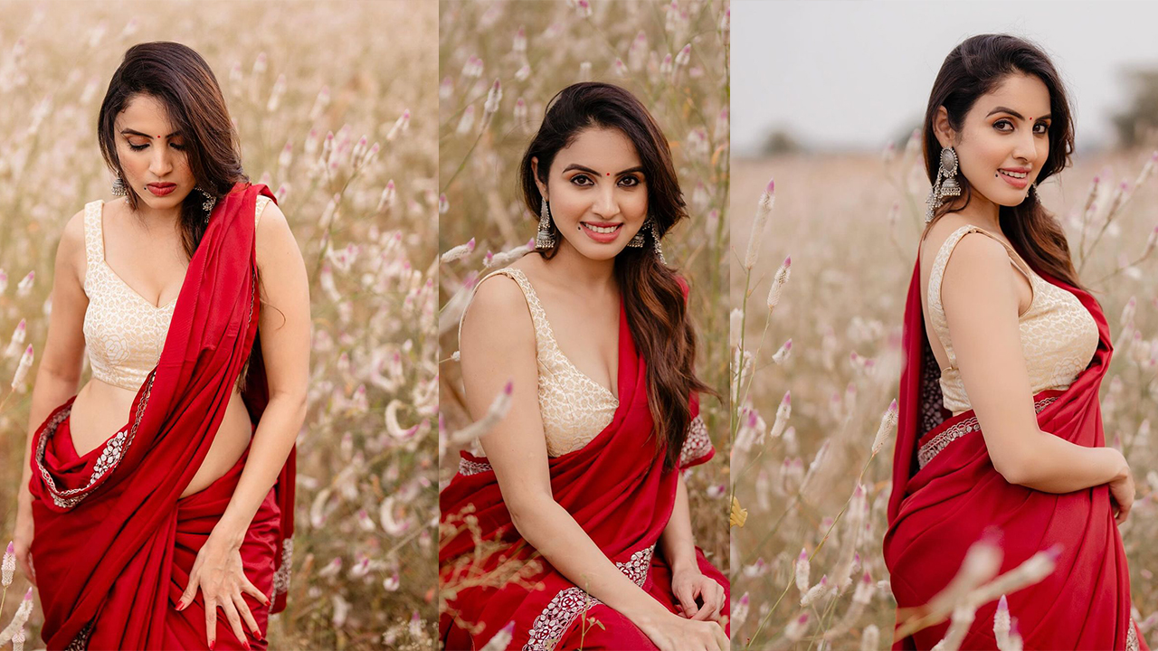 Priyanka Kholgade Stunning Saree Photos and Glamour Looks