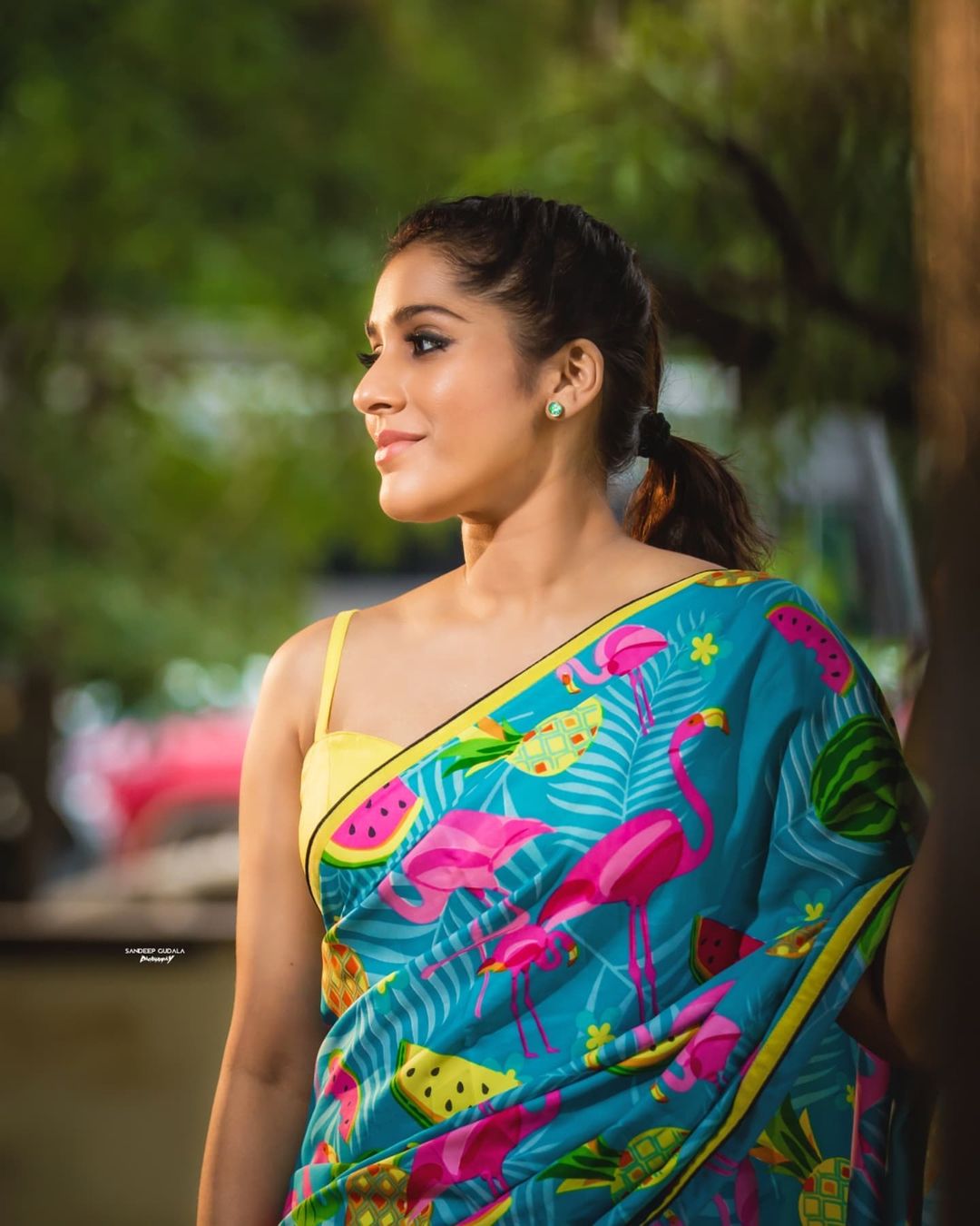Rashmi Gautam Stunning Latest Saree Photos and Traditional Looks