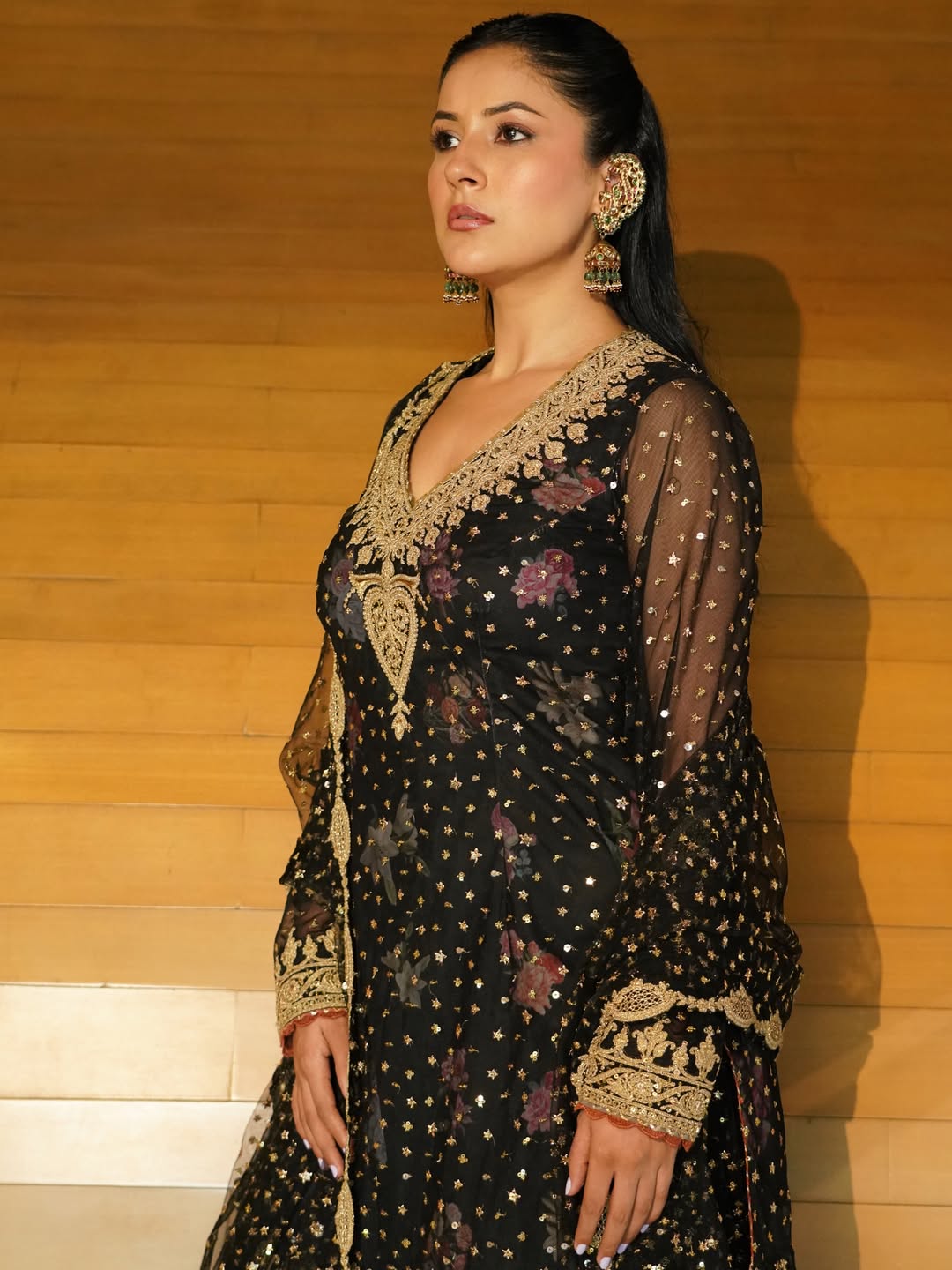 Shehnaaz Gill's Stunning Look Captures Hearts