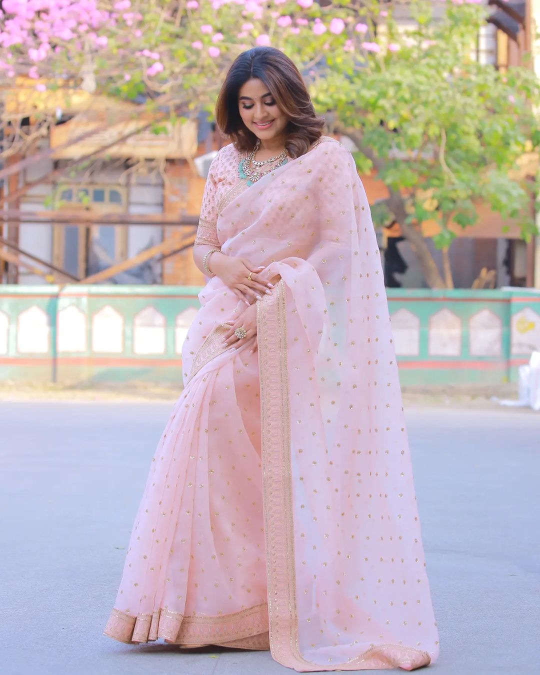 Sneha's Latest Saree Photos Reveal Stunning Traditional Glamour