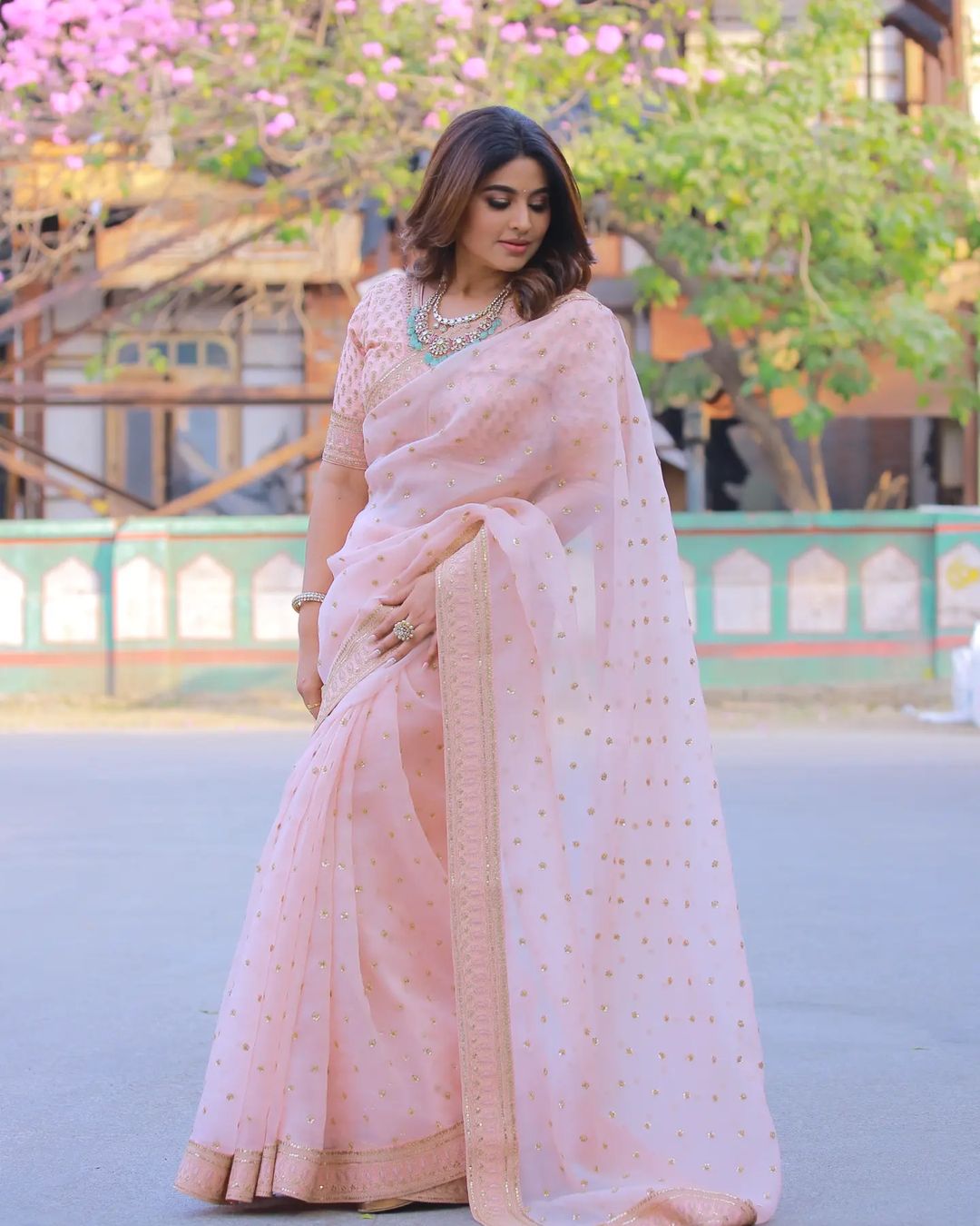 Sneha's Latest Saree Photos Reveal Stunning Traditional Glamour