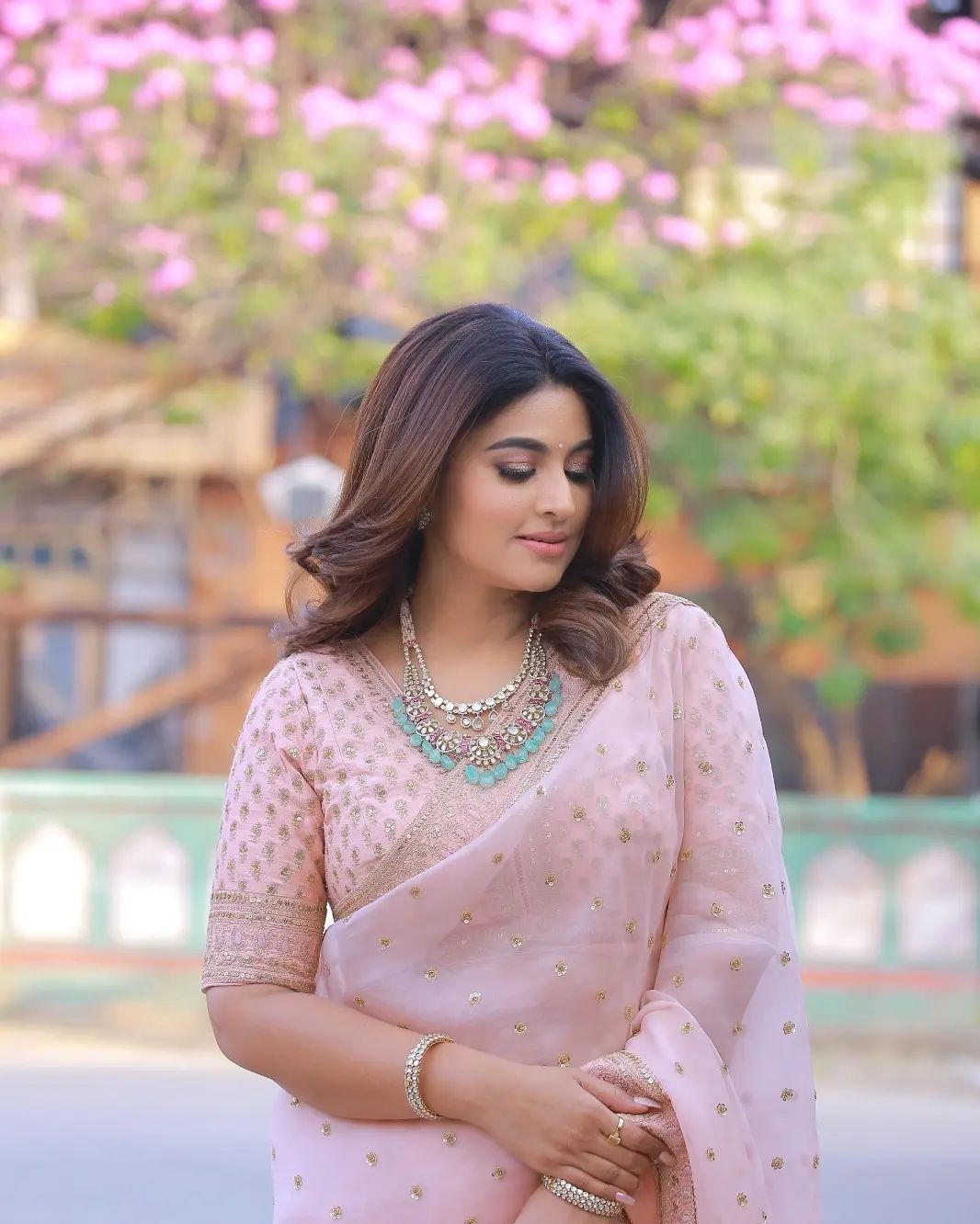 Sneha's Latest Saree Photos Reveal Stunning Traditional Glamour