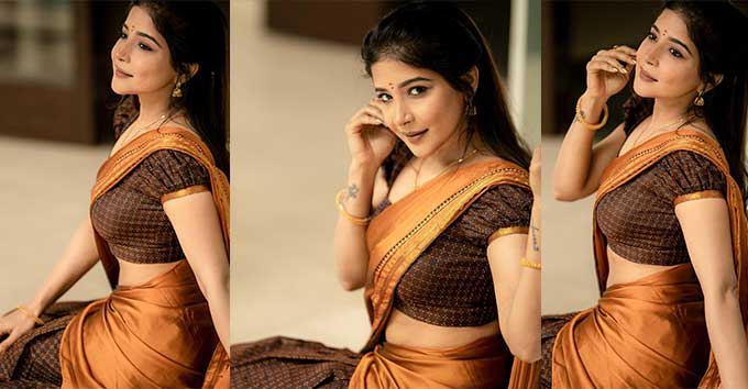 Stunning Sakshi Agarwal Saree Photos and Traditional Looks