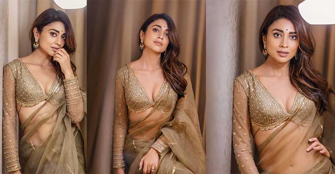 Stunning Shriya Saran Saree Looks Traditional Indian Fashion